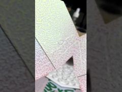 Mengubah warna hammertone Powder Coating Spray untuk desain transformatif